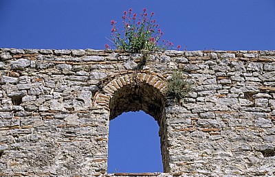 Frühchristliche Basilika: Fensternische mit Blumen - Butrint
