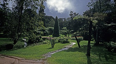Botanical Garden - Vumba Mountains