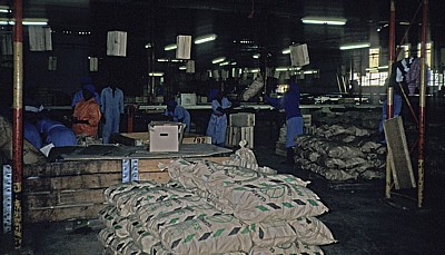Commercial Farm: Obstproduktion - Mutare