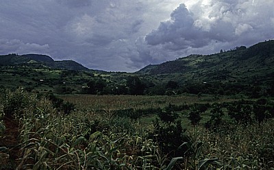 Landwirtschaft - Chimanimani Mountains