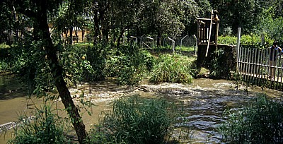 Crocodile Ranch: Krokodilfütterung - Victoria Falls