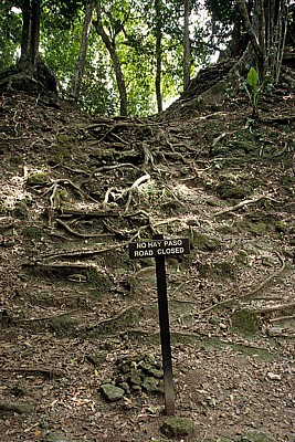 Hinweisschild an einem Weg: No Hay Paso (Road Closed) - Tikal