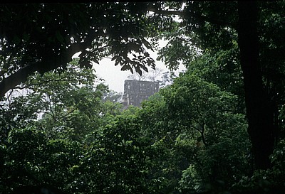 Blick auf einen Dachkamm - Palenque