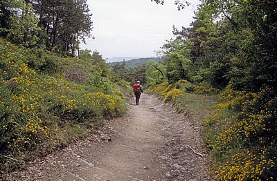 Jakobsweg (Navarrischer Weg)  - Pyrenäen
