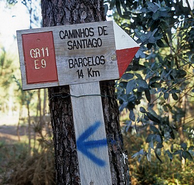 Jakobsweg (Caminho Português): Hinweisschild “Caminho s de Santiago“ - Distrito de Braga