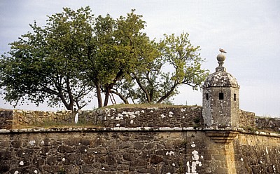 Fortaleza (Festung) Möwe auf einem der 10 Türme - Valença