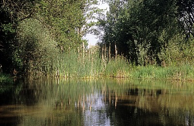 Jakobsweg (Camino Francés): Am Ufer des Río Ucieza - Población de Campos