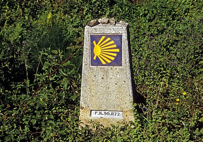Jakobsweg (Caminho Português): Zwischen San Mauro und Tivo - Camino-Wegstein  - Galicia