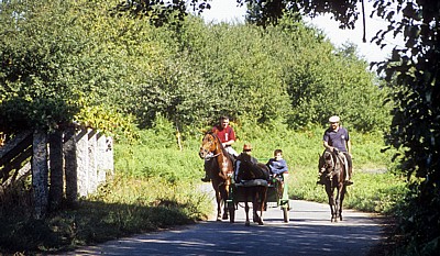 Jakobsweg (Caminho Português):  Zwischen San Mauro und Tivo – Pferdekutsche und Reiter - Galicia