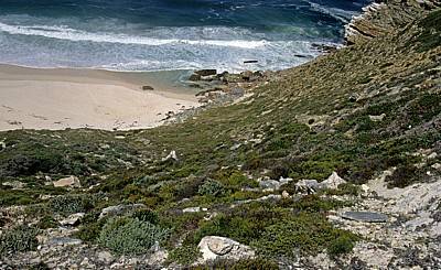 Cape of Good Hope (Kap der Guten Hoffnung): Diaz Beach - Cape of Good Hope Nature Reserve