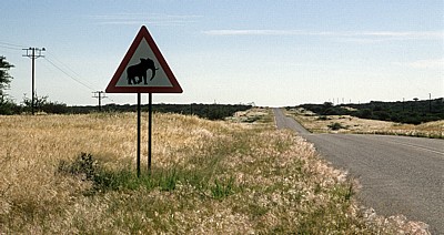 C35: Verkehrsschild Vorsicht Elefanten - Kaokoveld