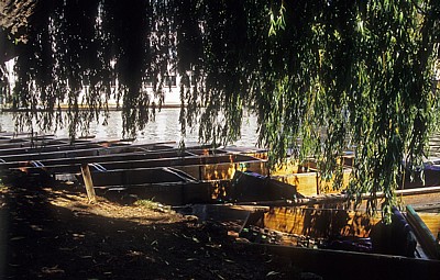 River Cam: Punt boats (Stechkähne) - Cambridge
