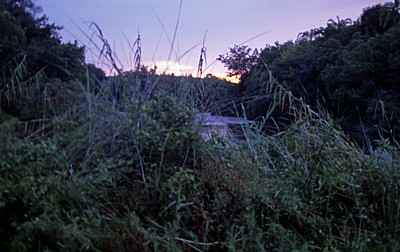 Jungle Junction: Sonnenaufgang über dem Zambezi - Bovu Island