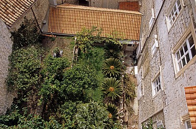 Stari Grad (Altstadt): Blick von der Stadtmauer - Garten zwischen den Häusern - Dubrovnik
