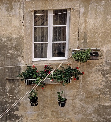 Stari Grad (Altstadt): Blick von der Stadtmauer - Blumenkästen und -töpfe vor einem Fenster - Dubrovnik