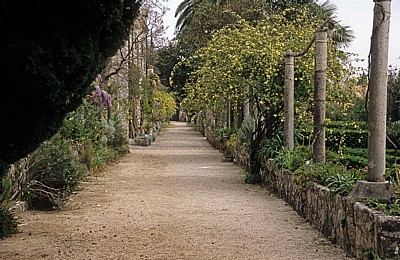Arboretum von Trsteno: Gucetic-Lustgarten - Trsteno