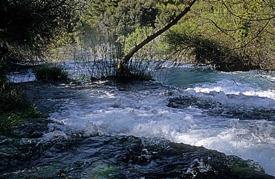 Fluß Krka oberhalb der Skradinski buk (Skradin-Wasserfälle): Kaskaden - Nationalpark Krka