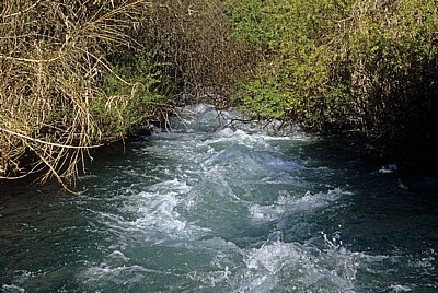 Fluß Krka oberhalb der Skradinski buk (Skradin-Wasserfälle) - Nationalpark Krka