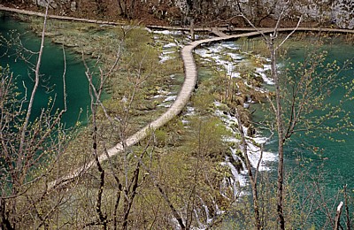 Donja jezera (Untere Seen): Holzsteg zwischen Kaluderovac (links) und Novakovica brod - Nationalpark Plitvicer Seen