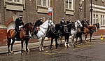 Great Scotland Yard: Berittene Polizei - Absitzen - London
