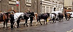 Great Scotland Yard: Berittene Polizei - Abführen - London