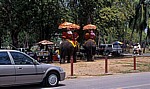 Verschiedene Transportmittel: alt und neu - Ayutthaya