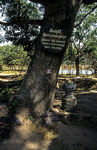 Killing Fields von Choeung Ek: Exekutionsbaum für Kinder - Phnom Penh