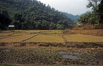 Reisfelder - Doi Inthanon-Nationalpark