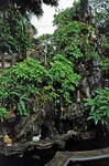 Tran Quoc-Pagode: Brunnen - Hanoi