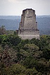 Blick von Tempel IV: Tempel III - Tikal