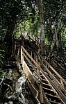 Treppen zum Tempel IV - Tikal