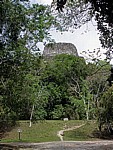 Tempel IV - Tikal