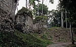 Plaza de los siete Templos (Platz der sieben Tempel) - Tikal