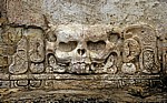 Templo de la Calavera (Totenkopf-Tempel): Stuckschädel - Palenque