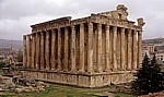 Tempel des Bacchus - Baalbek