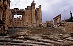 Tempel des Bacchus - Baalbek