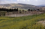 Gerasa: Ovales Forum - Jerash