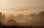 Jakobsweg (Navarrischer Weg): Landschaft im morgendlichen Nebel - Pyrenäen (F)