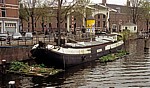 Amstel: Kahn mit „schwimmenden Gärten“ - Amsterdam