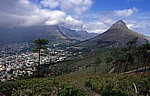 Blick vom Signal Hill auf Kapstadt - Kapstadt