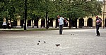 Hofgarten: Boule-Spieler (Pétanque) - München