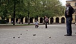 Hofgarten: Boule-Spieler (Pétanque) - München