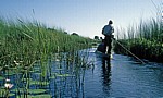 Mokoro auf einem wasserführenden Kanal - Okavango-Delta