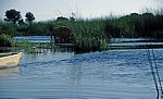 Wasserführender Kanal im Delta - Okavango-Delta