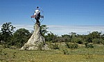 Termitenhügel mit Hinweis für Planet Baobab - Gweta
