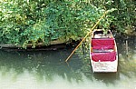 River Cam: Punt boat (Stechkahn) - Cambridge