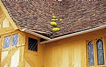 Little Hall: Detail - Dach - Lavenham