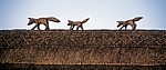 The Street: Füchse aus Reet auf einem Reetdach - Stoke-by-Clare