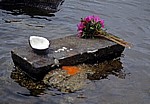 Ganga Talao: Opfergaben (Blumen und Kokosnuß) - Grand Bassin