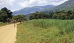 Ifakara Road: Kleines Dorf auf dem Weg zum Udzungwa Mountains National Park - Morogoro Region